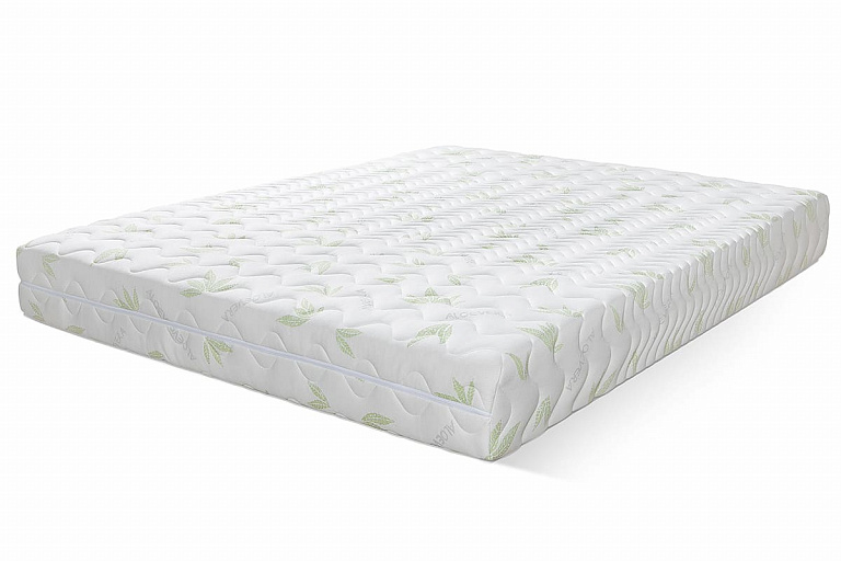 Concept 5 Aloe Vera